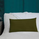 all-over-print-premium-pillow-20x12-back-lifestyle-4-630058fe32b5a.png